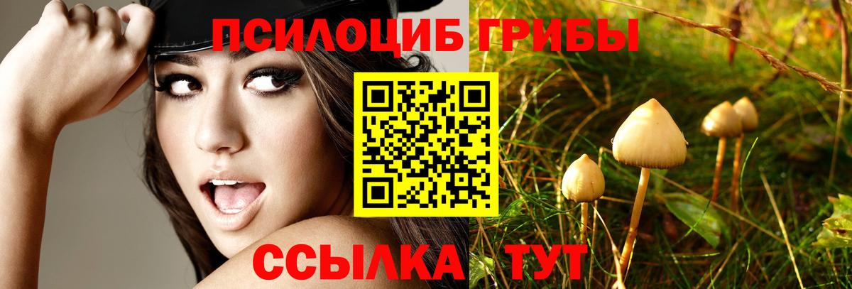 Псилоцибиновые грибы мицелий  Вход с VPN  Ялта 
